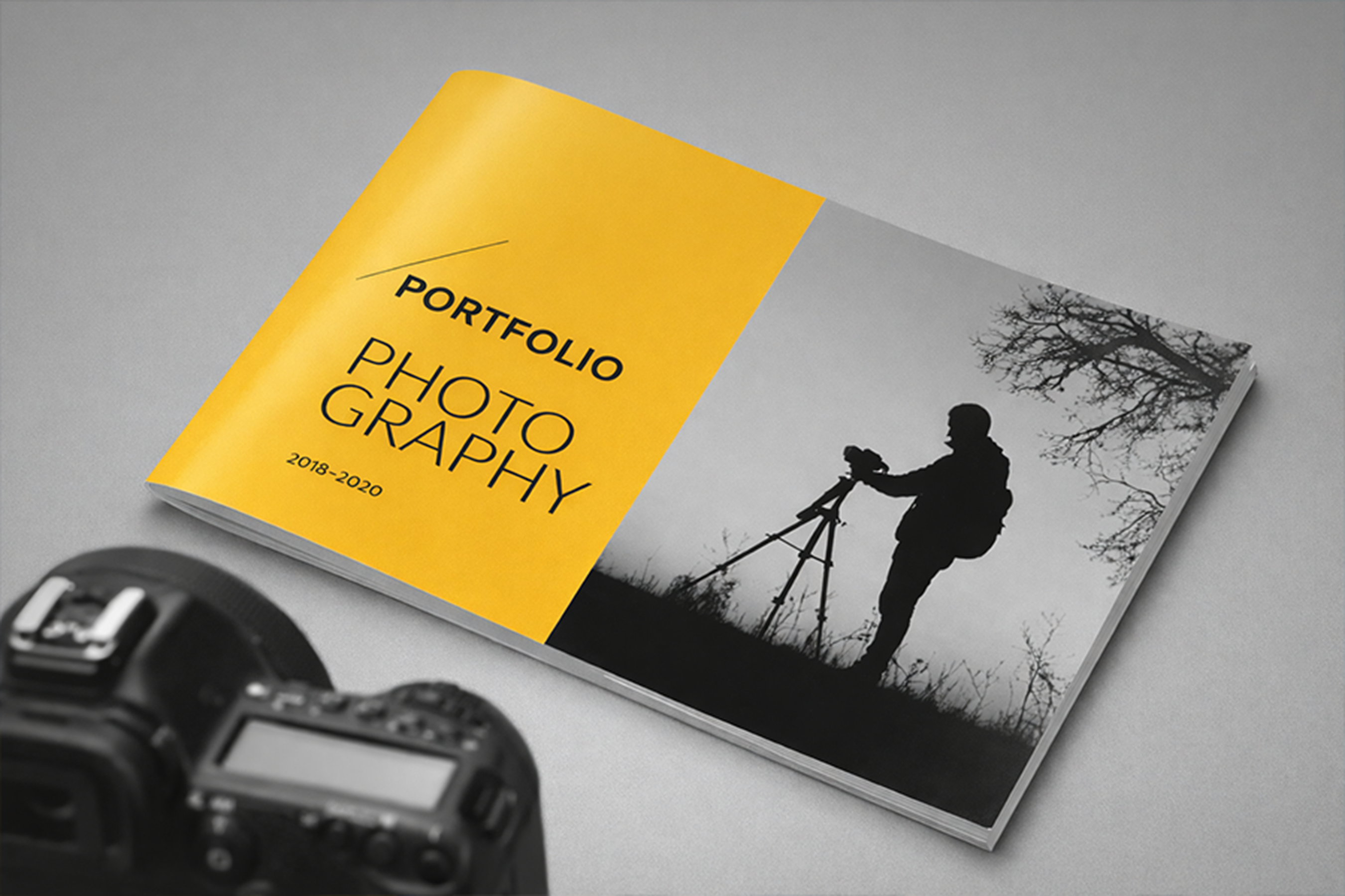 Portfolio Development